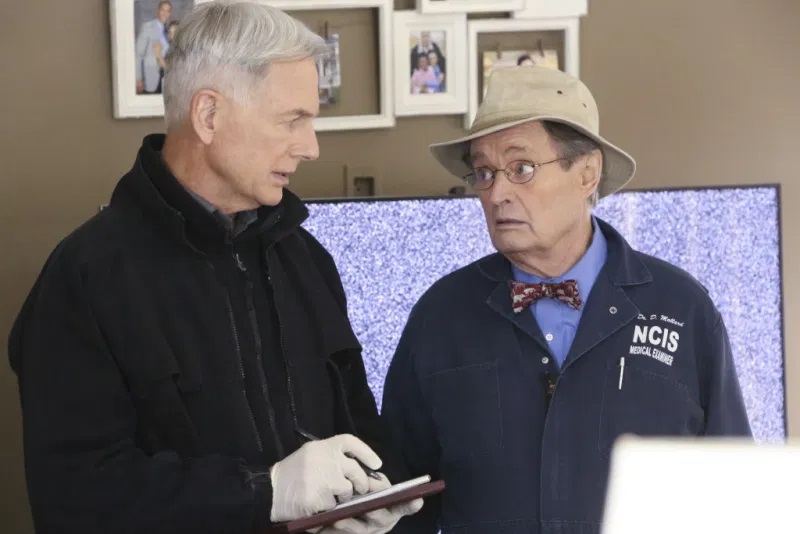 Ncis Bosses Teases Changes In Gibbs Character In Season Curious World