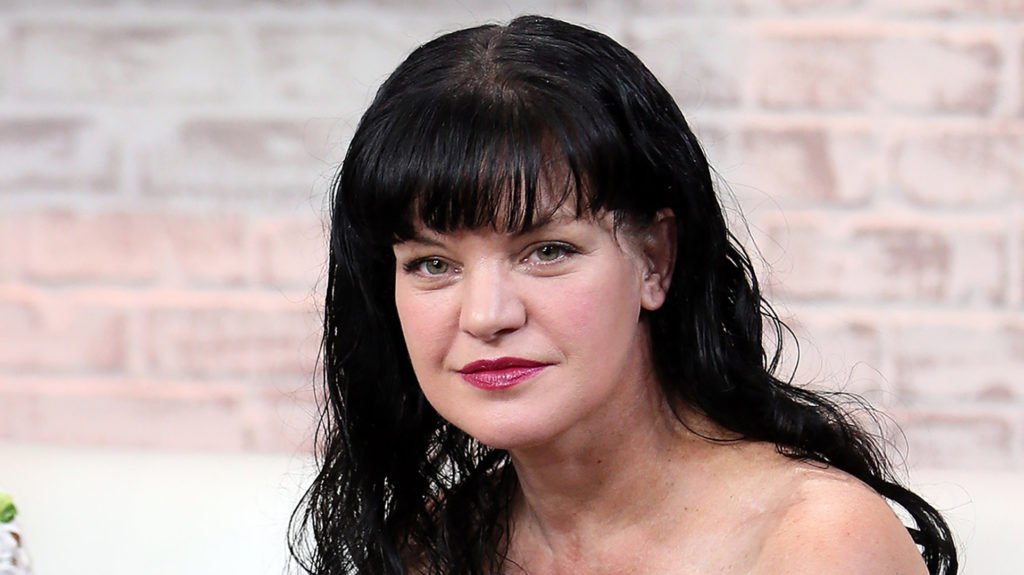 Pauley Perrette’s Last Ncis Episode Airs How Did They Say Goodbye To Abby Curious World
