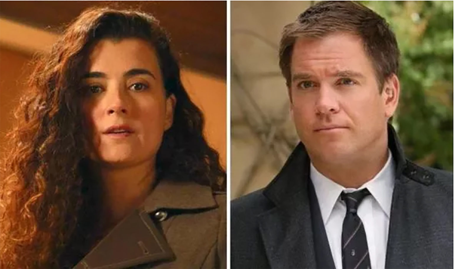 Ncis Dinozzo E Ziva Si Mettono Insieme