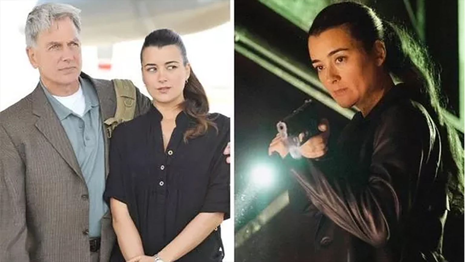 Ncis Saison 19 En France NCIS season 19: Ziva return ‘sealed’ as fans convinced she foreshadowed