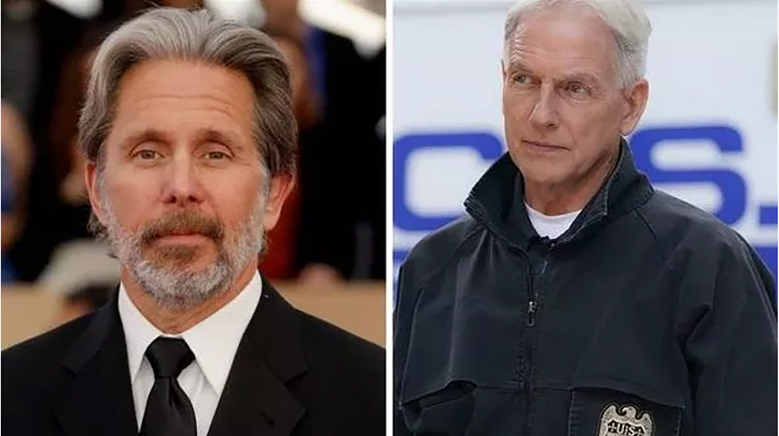 NCIS season 19 Will Gibbs be replaced? The 3 possible candidates