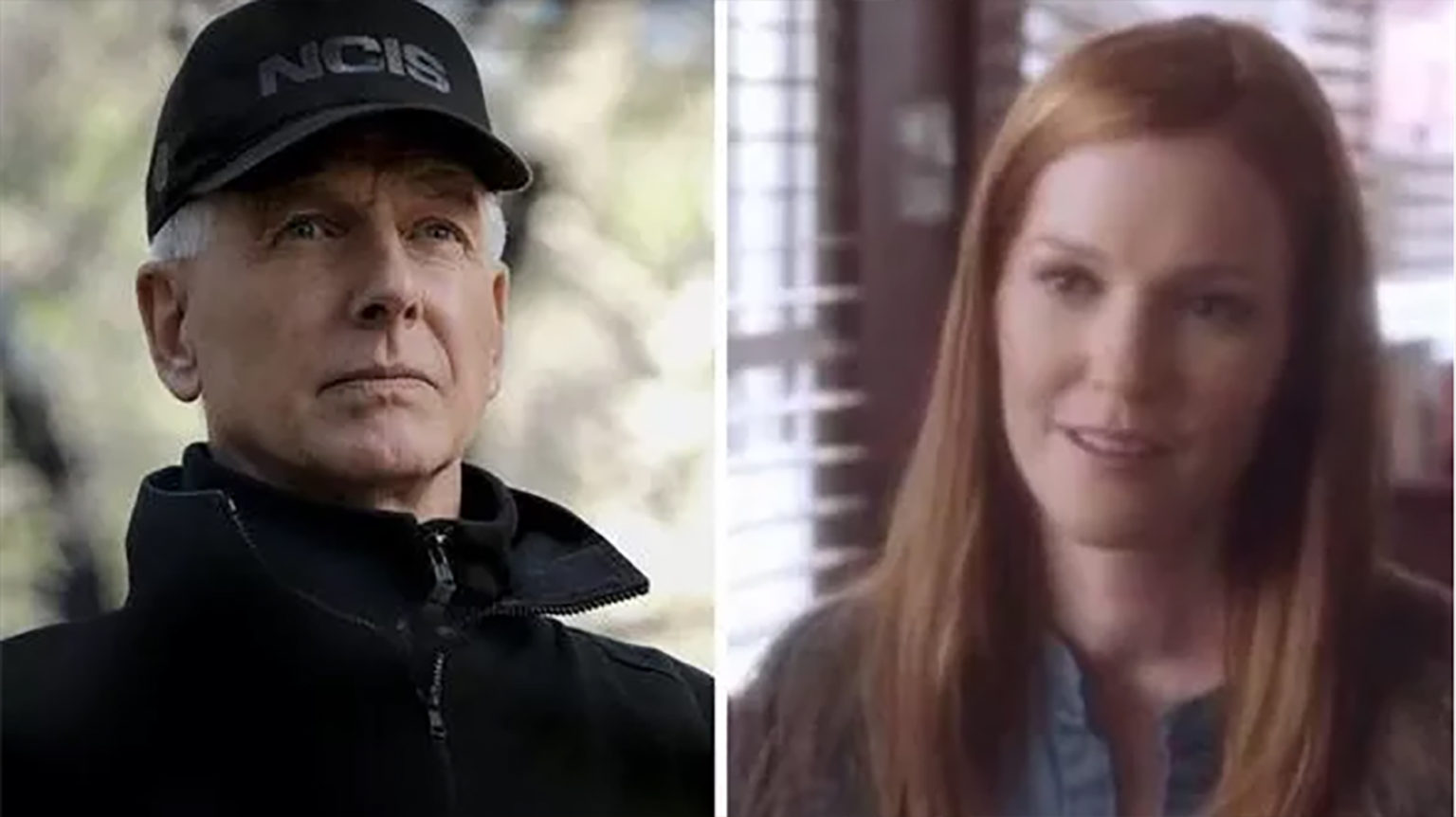 NCIS How many times has Agent Gibbs been married? Curious World