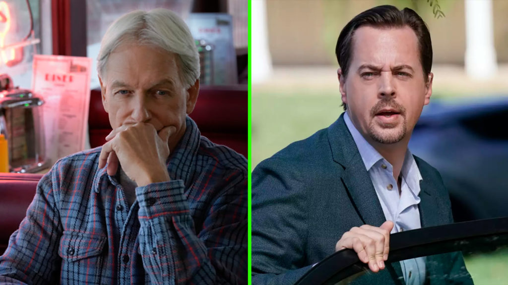 Is Delilah McGee, the Wife of NCIS Agent Timothy McGee, Married in Real