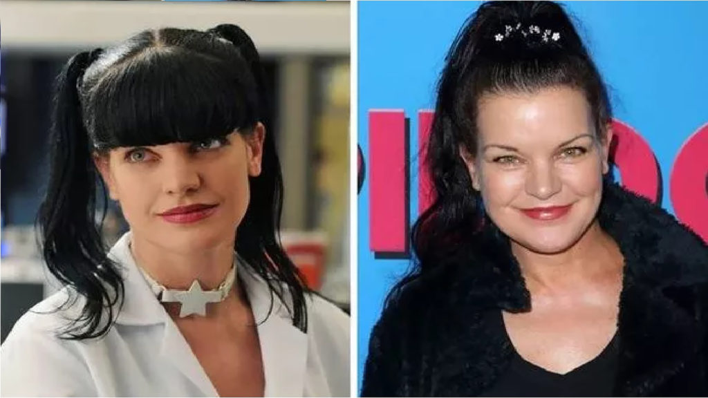 NCIS: Where is Pauley Perrette, Who Played Abby Sciuto on The Show ...