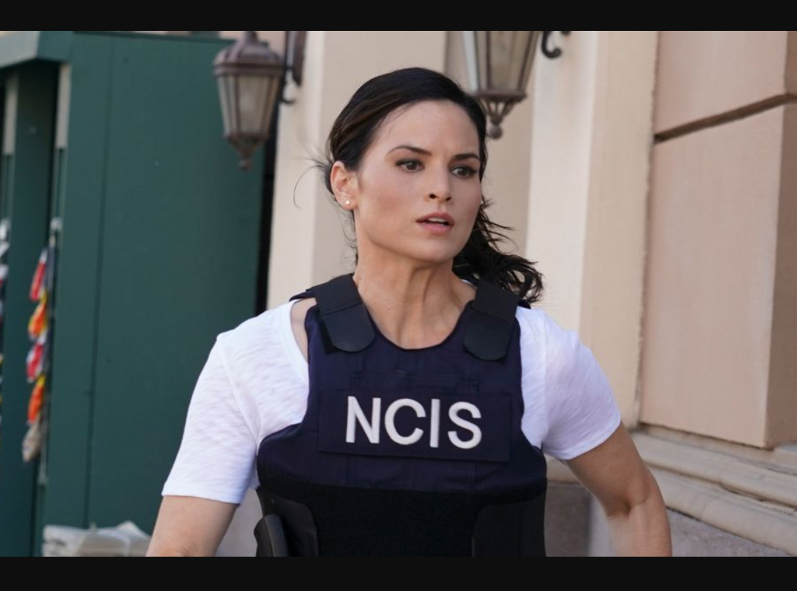 Here is Everything We Know About NCIS Season 20 – (So Far) – Curious World